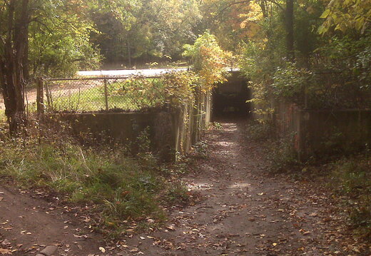 Des Plaines River Trail