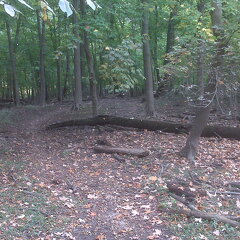 Des Plaines River Trail