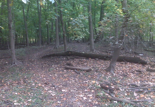 Des Plaines River Trail