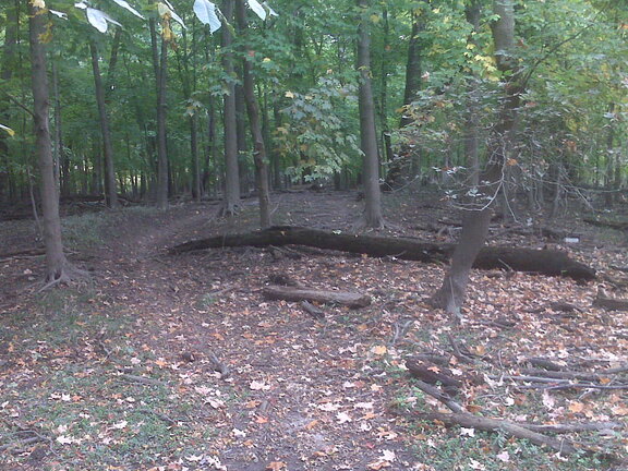 Des Plaines River Trail