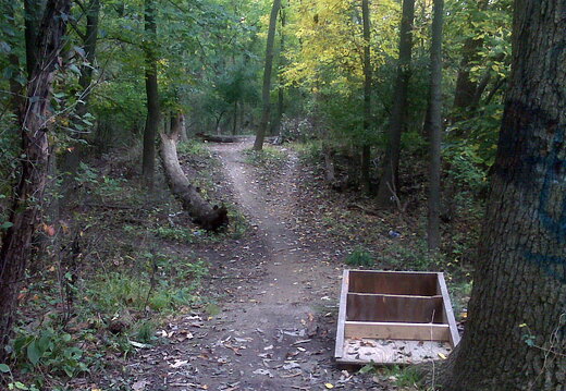 Des Plaines River Trail