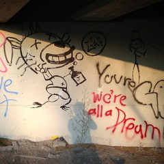 Des Plaines River Trail