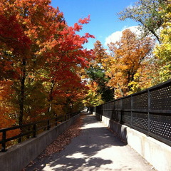 Des Plaines River Trail