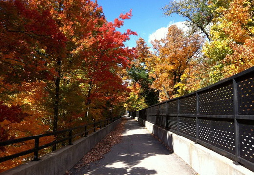 Des Plaines River Trail