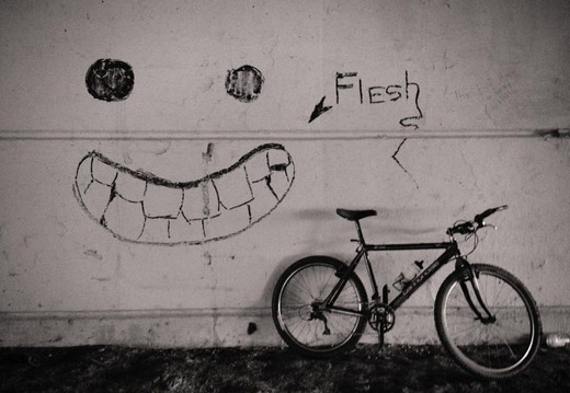 Des Plaines River Trail