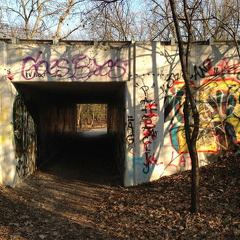 Des Plaines River Trail