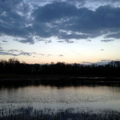 Des Plaines River Trail