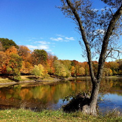 Des Plaines River Trail