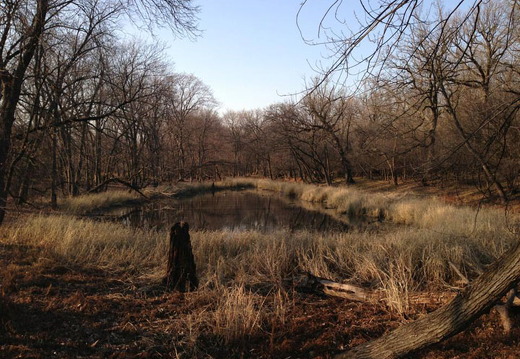Des Plaines River Trail