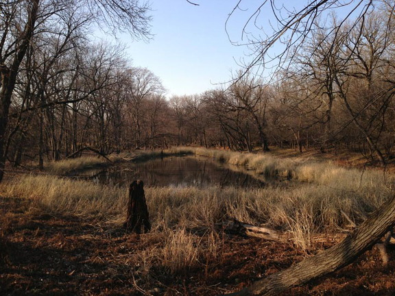 Des Plaines River Trail