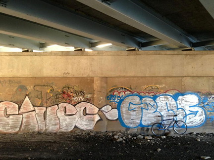 Des Plaines River Trail