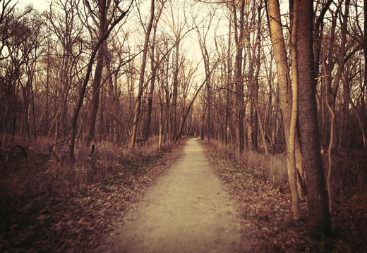 Des Plaines River Trail