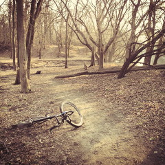 Des Plaines River Trail