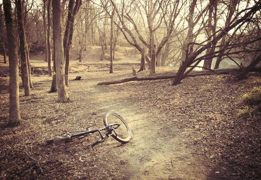 Des Plaines River Trail