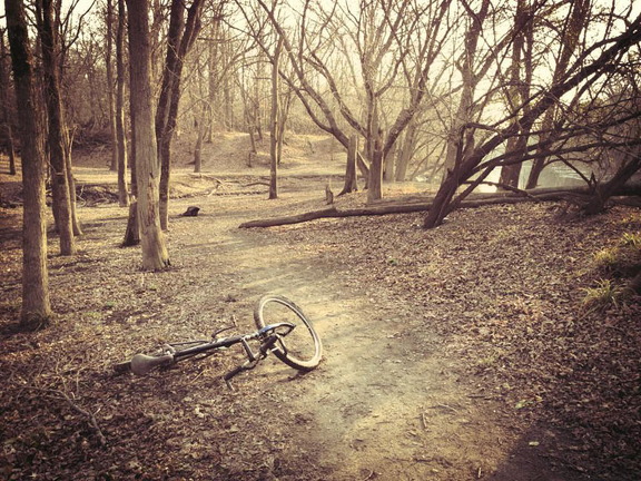 Des Plaines River Trail