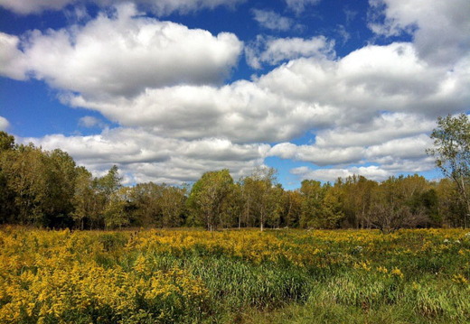 Des Plaines River Trail