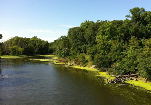 Des Plaines River Trail