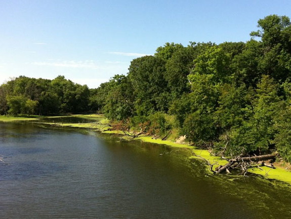 Des Plaines River Trail