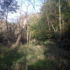 Des Plaines River Trail
