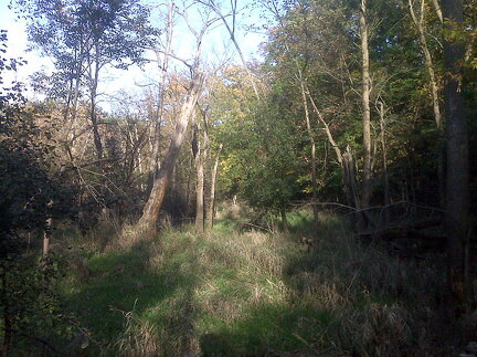 Des Plaines River Trail