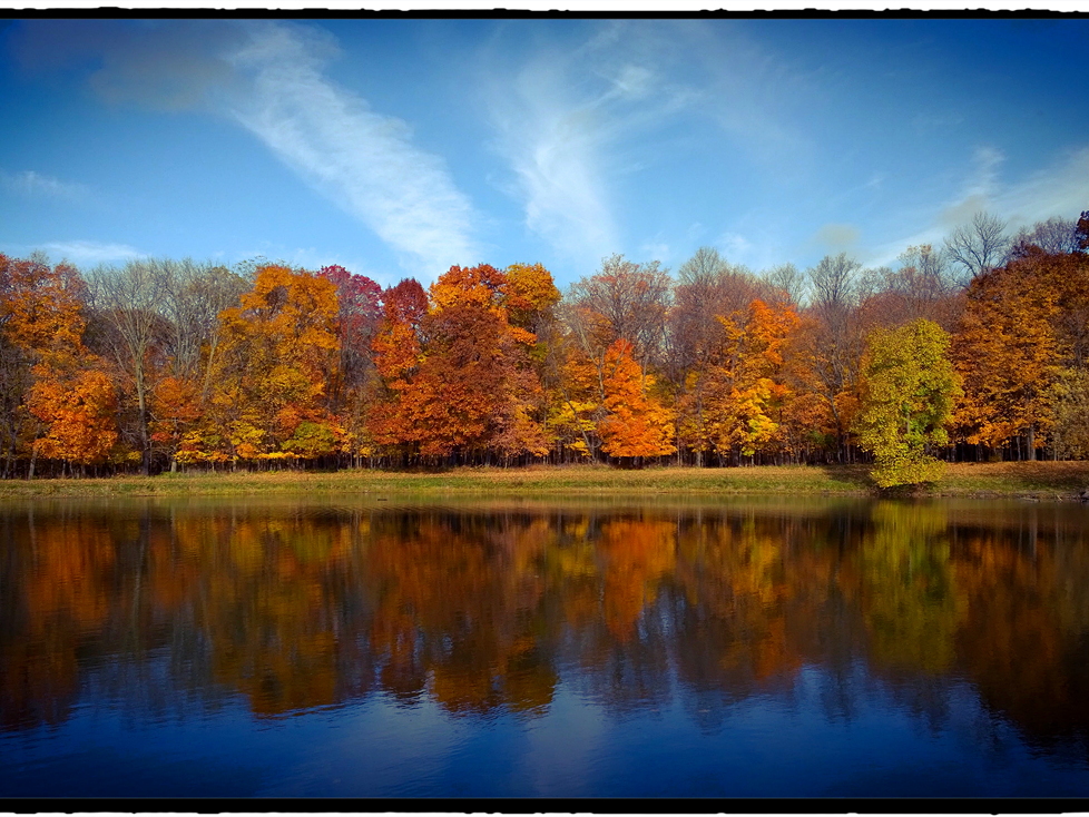 Des Plaines River Trail
