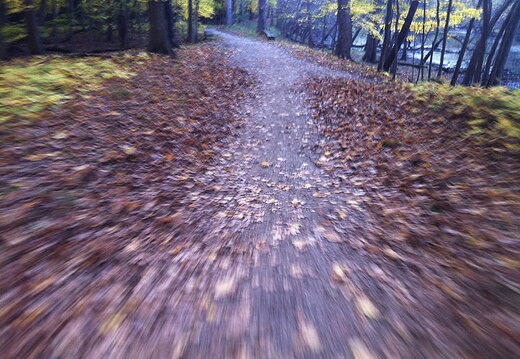 Des Plaines River Trail