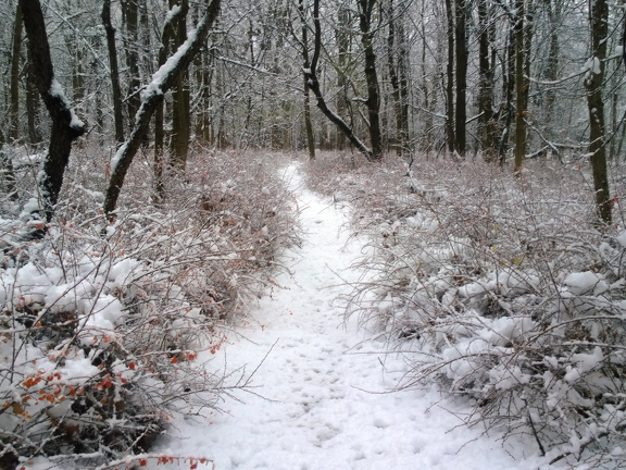 Des Plaines River Trail