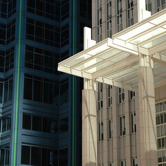 Shadow and Light in the Sky Scraper Forest