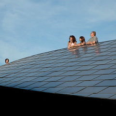 Reflecting from the Snake