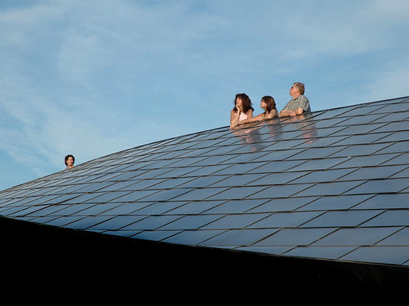 Reflecting from the Snake