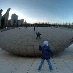 The Bean - Selfie