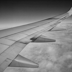 IMG 20200227 135549-01