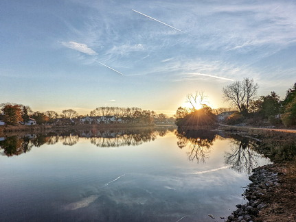 PXL 20211107 130306751-01