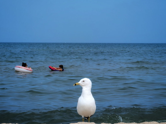 Weko-Beach-PXL 20240730 155236698