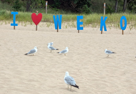 PXL 20240728 213115882