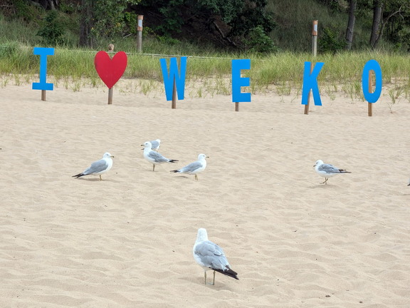 PXL 20240728 213115882