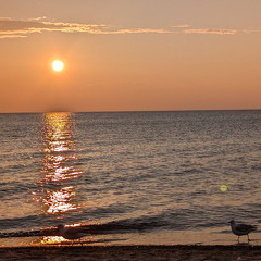 PXL 20240729 004410870