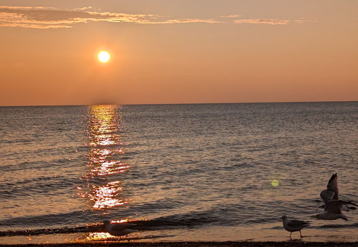 PXL 20240729 004410870