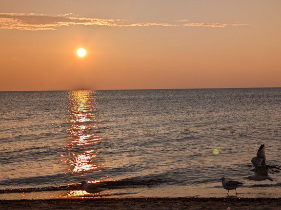 PXL 20240729 004410870