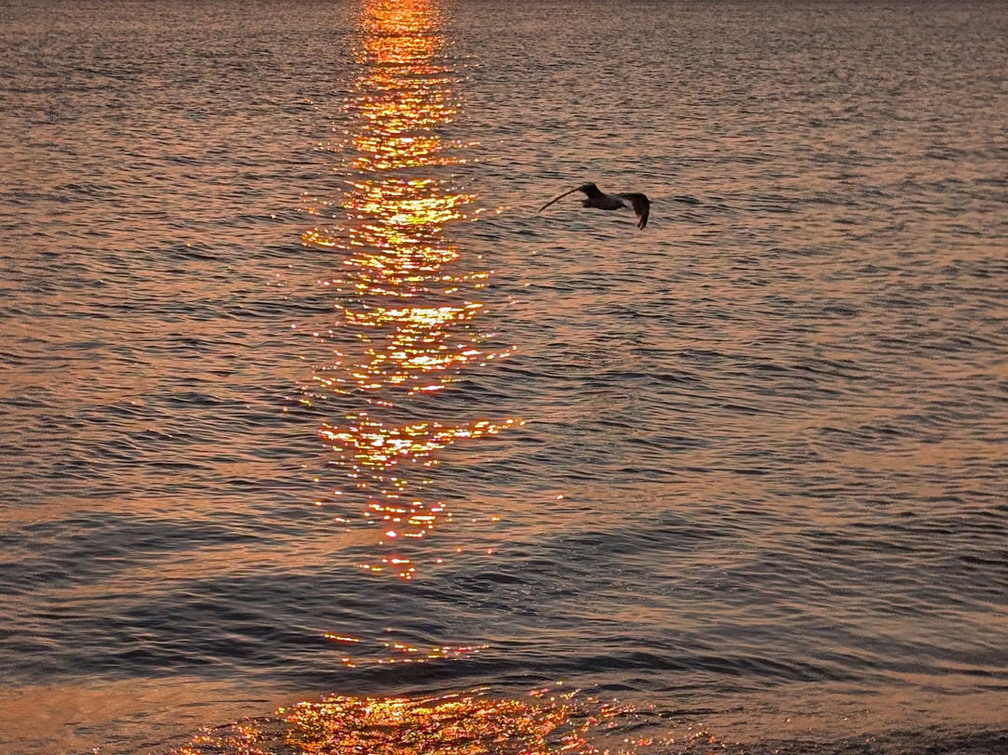 PXL 20240729 005028692 