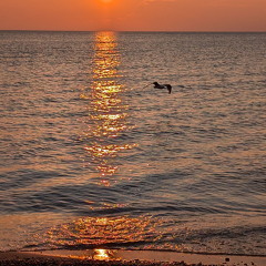 PXL 20240729 005028692 