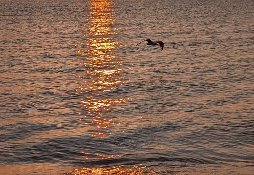 PXL 20240729 005028692 