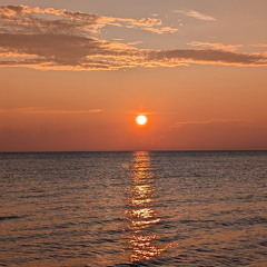 PXL 20240729 005216313