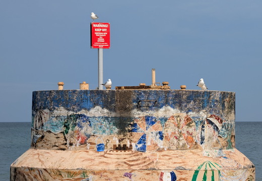 PXL 20240729 140944489