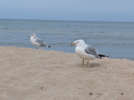 PXL 20240729 144218085