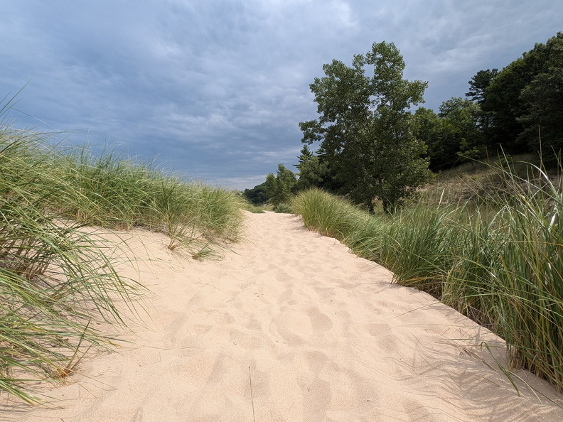 PXL 20240729 155934171