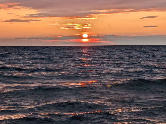 PXL 20240730 005946660