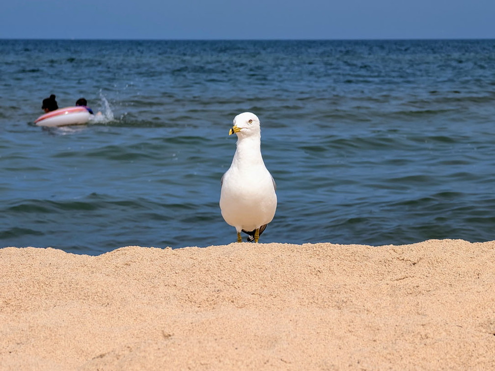 PXL 20240730 155224743 