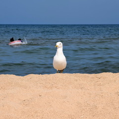 PXL 20240730 155224743 