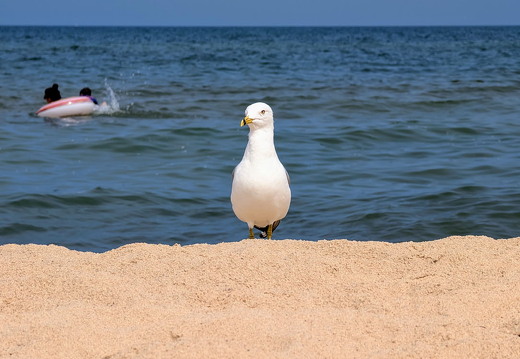 PXL 20240730 155224743 